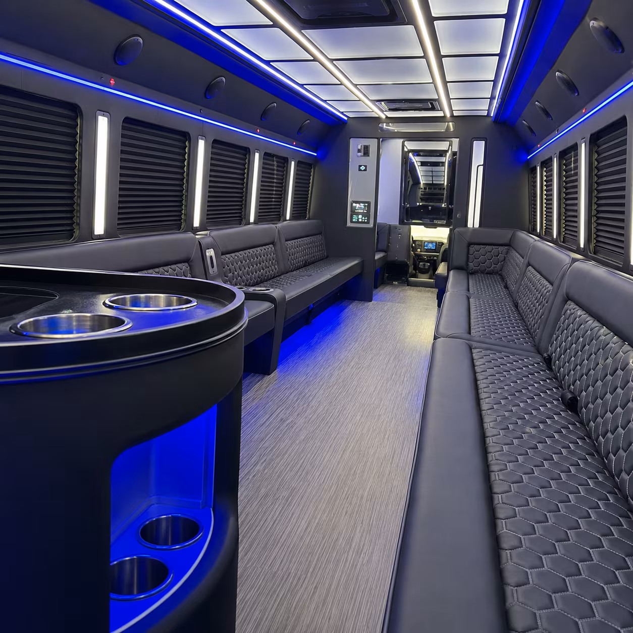 birthday party bus rental